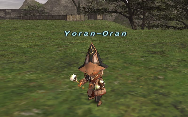 ff11ユニティフェイス、ヨランオラン